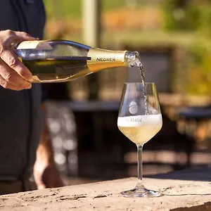 La Ratta Alloggio per agriturismo